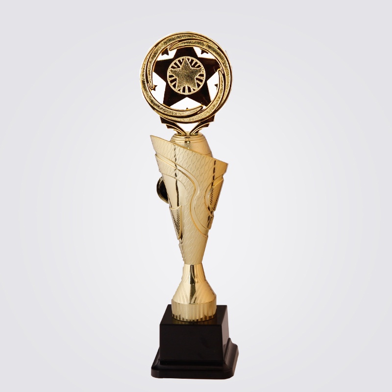 A8619 Five-star Flower Card Trophy Application Scenario
