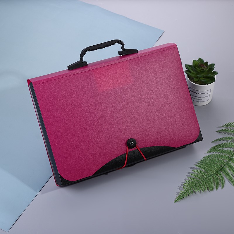 Organ Bag Item Picture