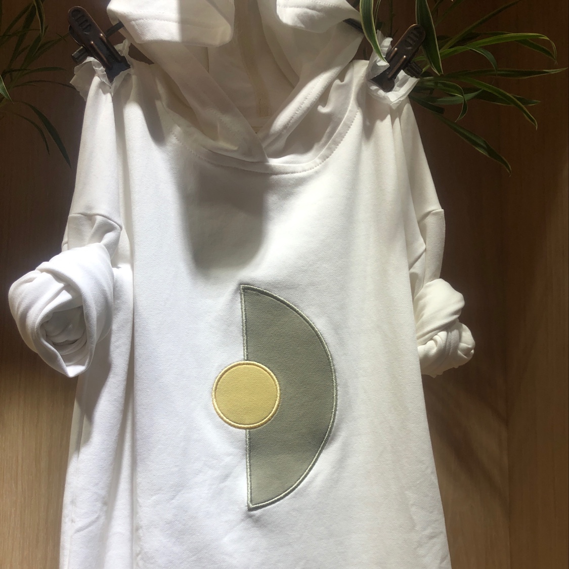 Middle children wear hooded sweatshirts details Picture