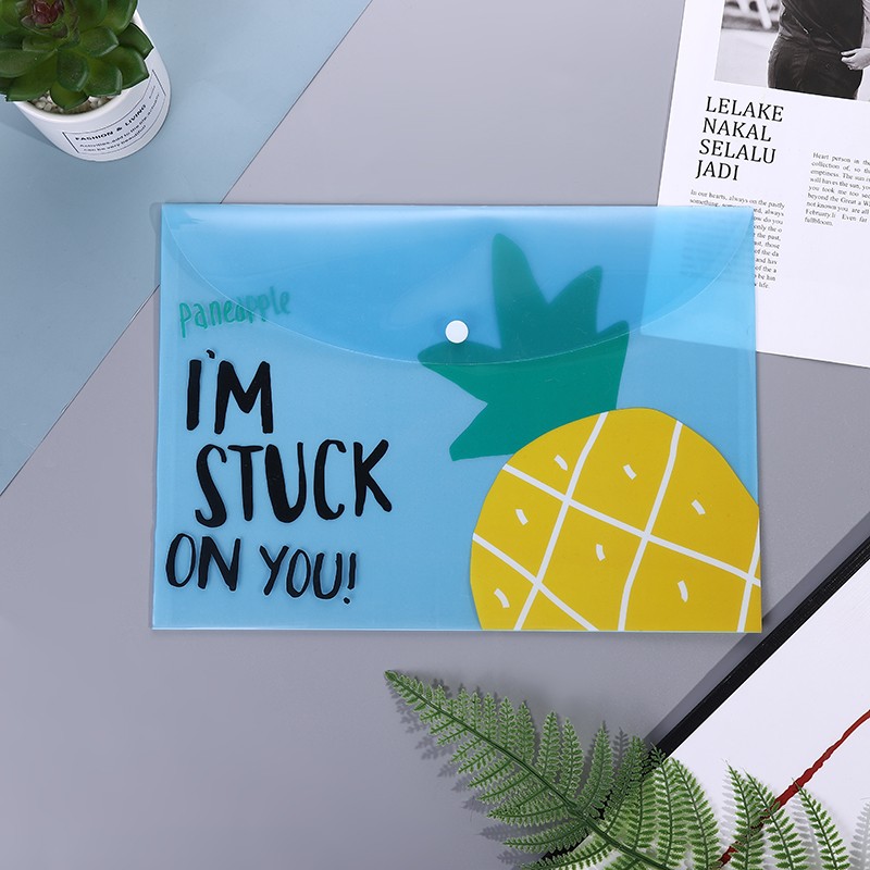 Document Pocket details Picture