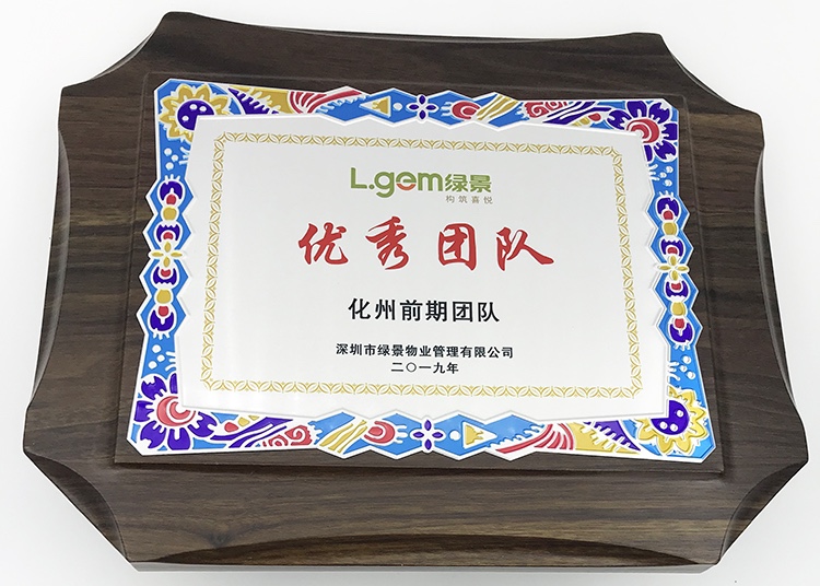 Colored metal patch with wood plate medal Metal plate authorization plate referee plate Excellent Organization award Wooden plate Sportsmanship fashion award wooden plate Excellent Team medal