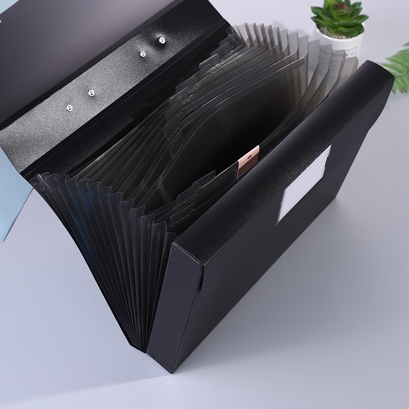 Organ Bag undefined