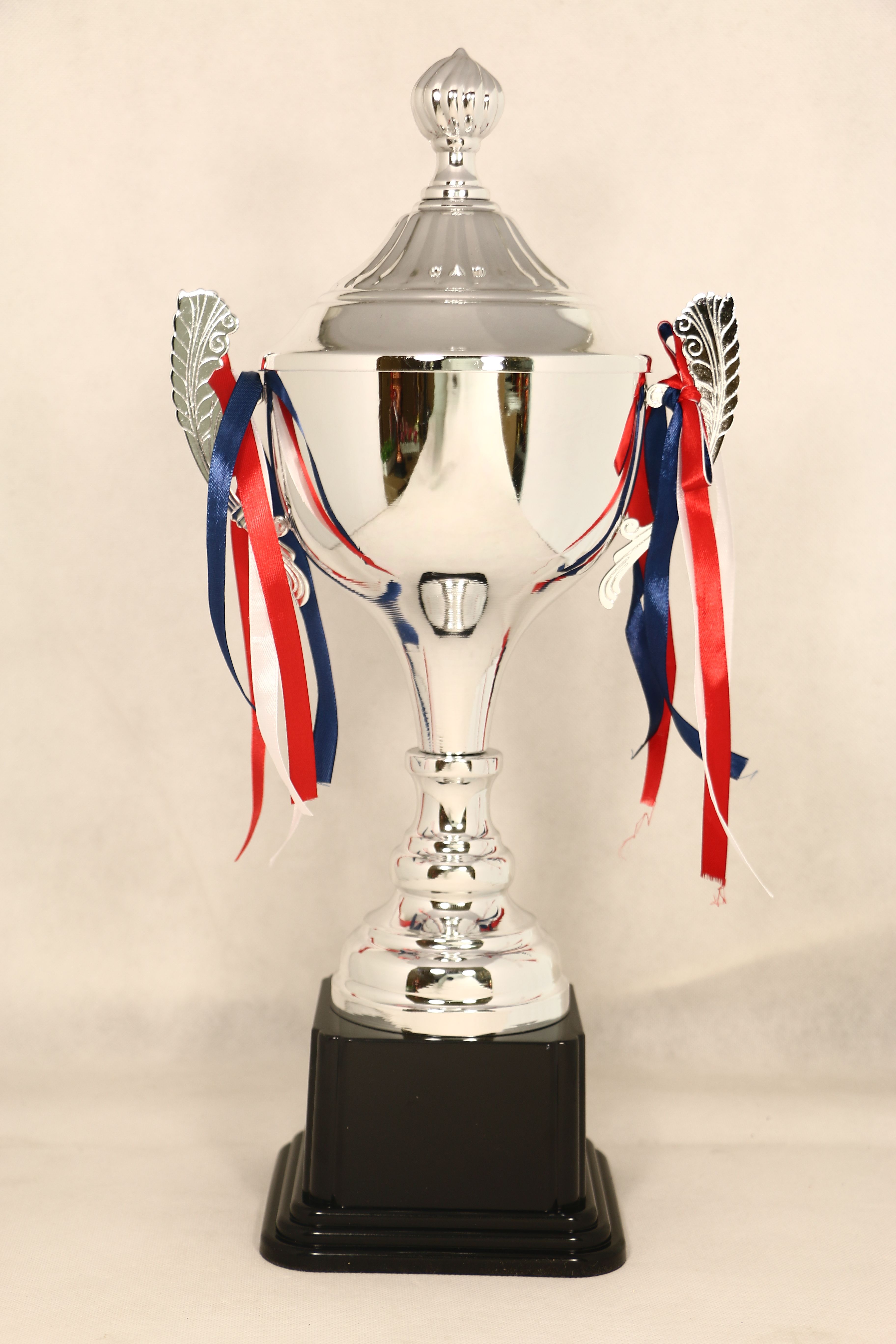 1919C High-quality metal trophy Competition Annual meeting Reward Prizes can be customized, content creativity 40CM Application Scenario