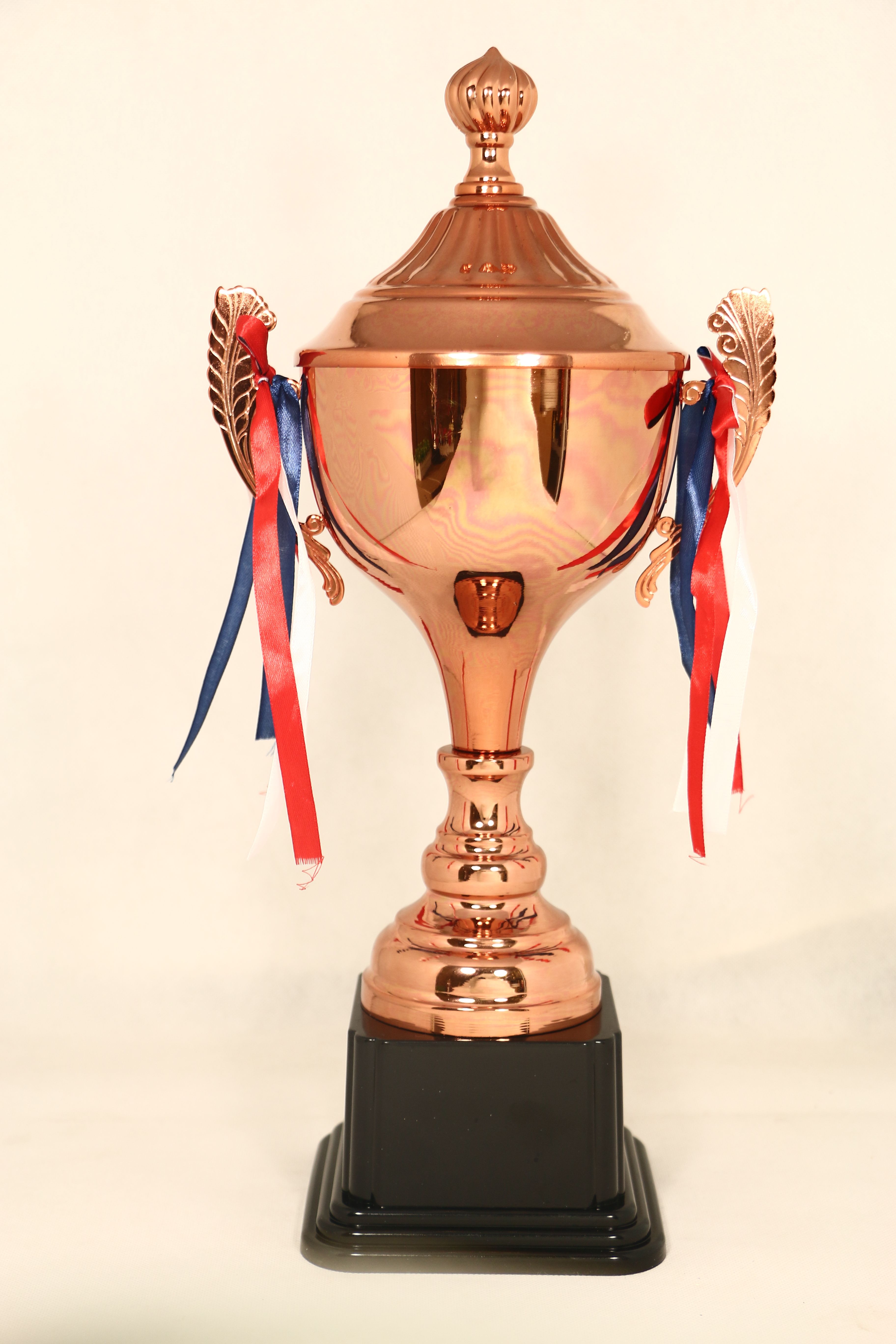 1919C High-quality metal trophy Competition Annual meeting Reward Prizes can be customized, content creativity 40CM Specification image