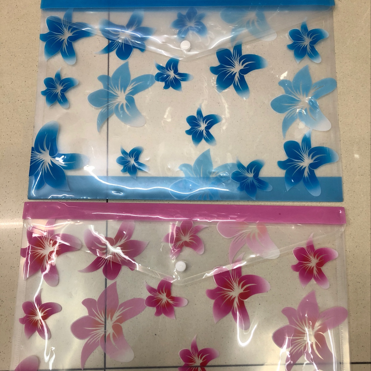 Morning Glory File Bag