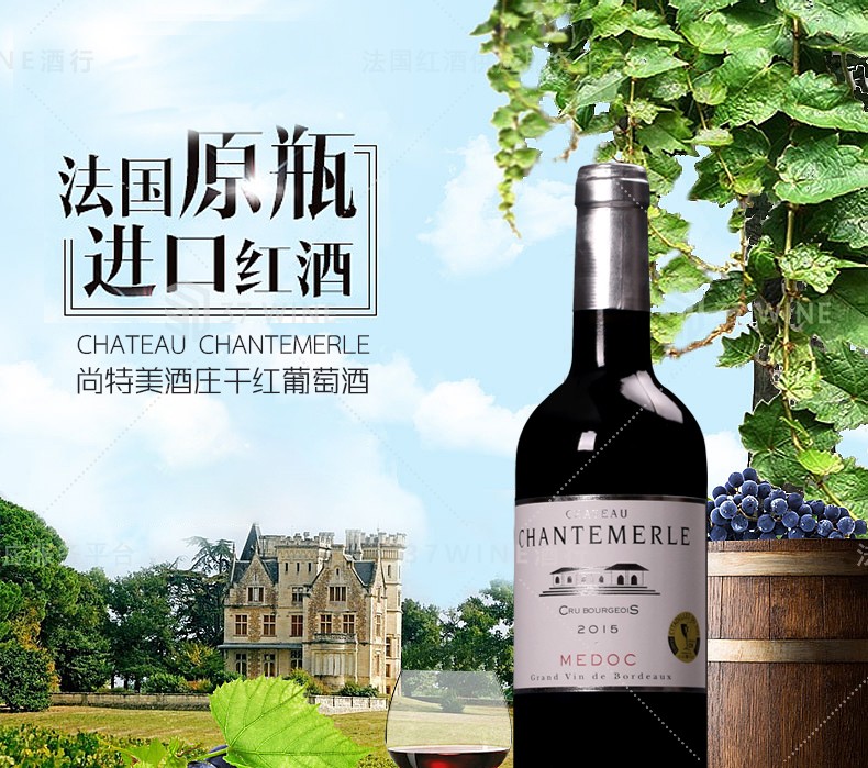 法国红酒 尚特美酒庄干红葡萄酒 CHATEAU CHANTEMERLE详情图1