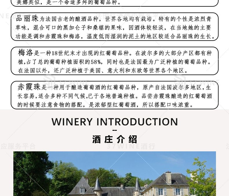 法国红酒 圣皮埃尔城堡干红葡萄酒 CHATEAU SAINT-PIERRE详情图6