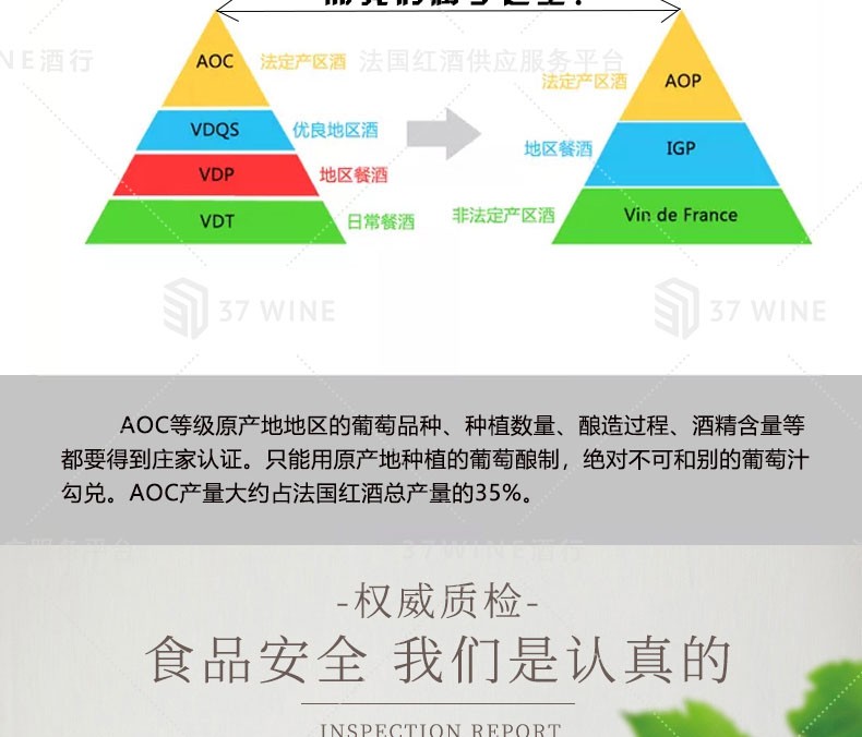 法国红酒 圣皮埃尔城堡干红葡萄酒 CHATEAU SAINT-PIERRE详情图8