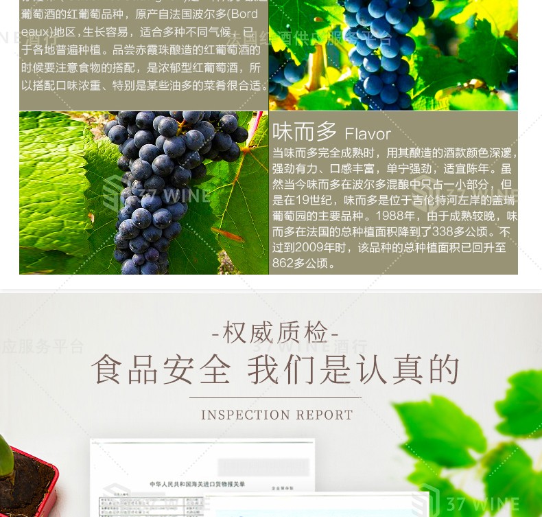法国红酒 诺亚酒庄干红葡萄酒 CHATEAU NOAILLAC详情图4