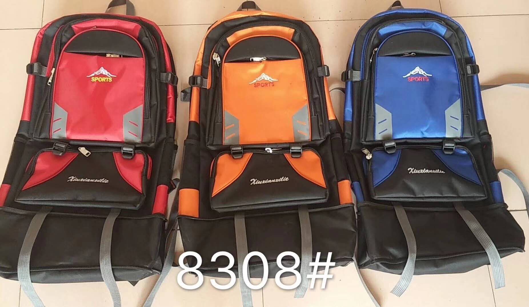 Professional Demonstrates Proper Luggage Sorting Steps Process Capshot