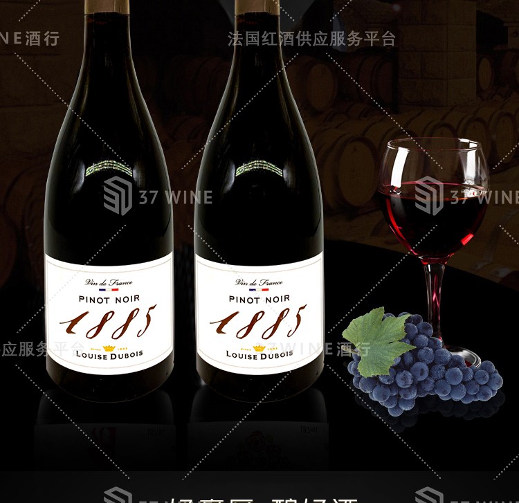法国红酒 路易丝杜布瓦黑皮诺红葡萄酒 已售罄拍下默认发同价位详情图3