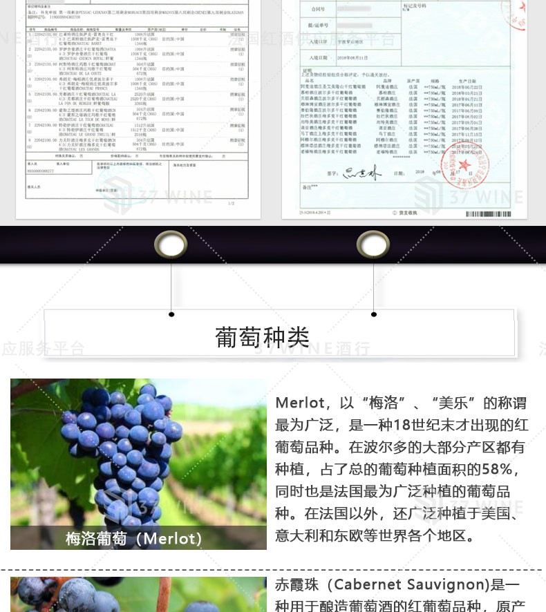 法国红酒 马约思酒庄干红葡萄酒 CHATEAU MARJOSSE详情图6