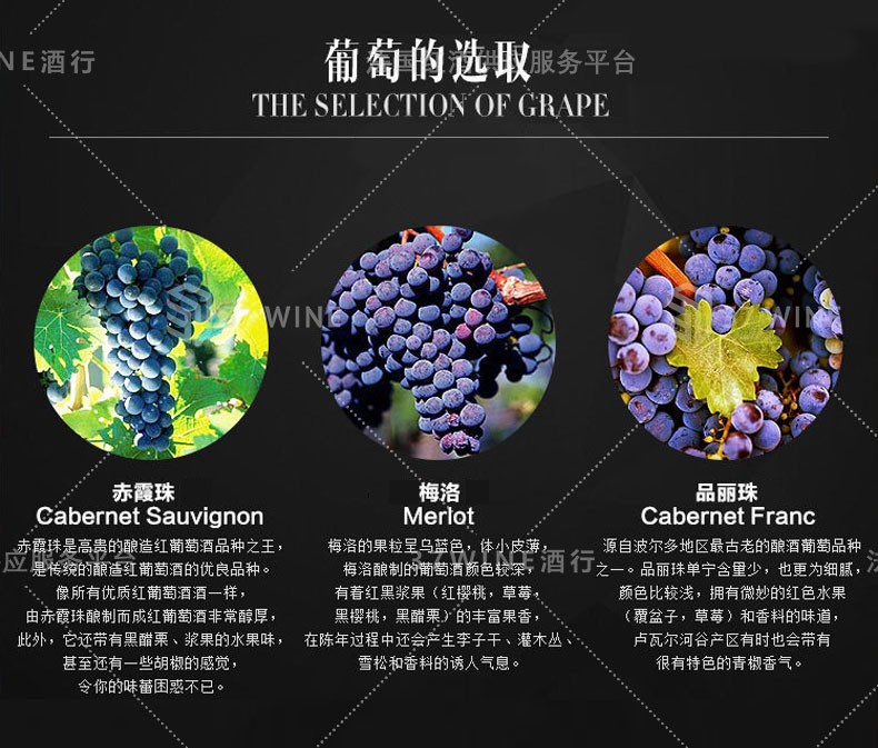 法国红酒 班尼杜克酒庄红葡萄酒 已售罄拍下默认发同价位详情4