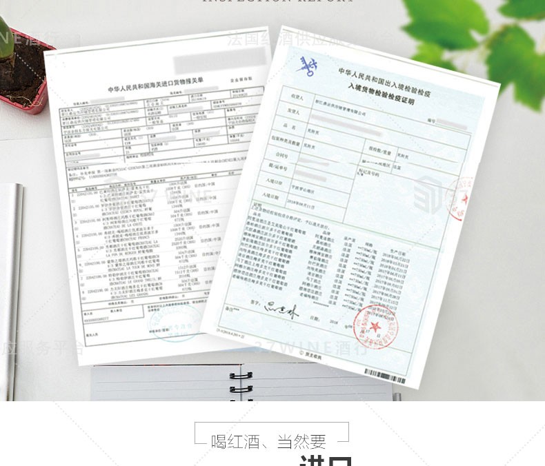 法国红酒 圣皮埃尔城堡干红葡萄酒 CHATEAU SAINT-PIERRE详情图9