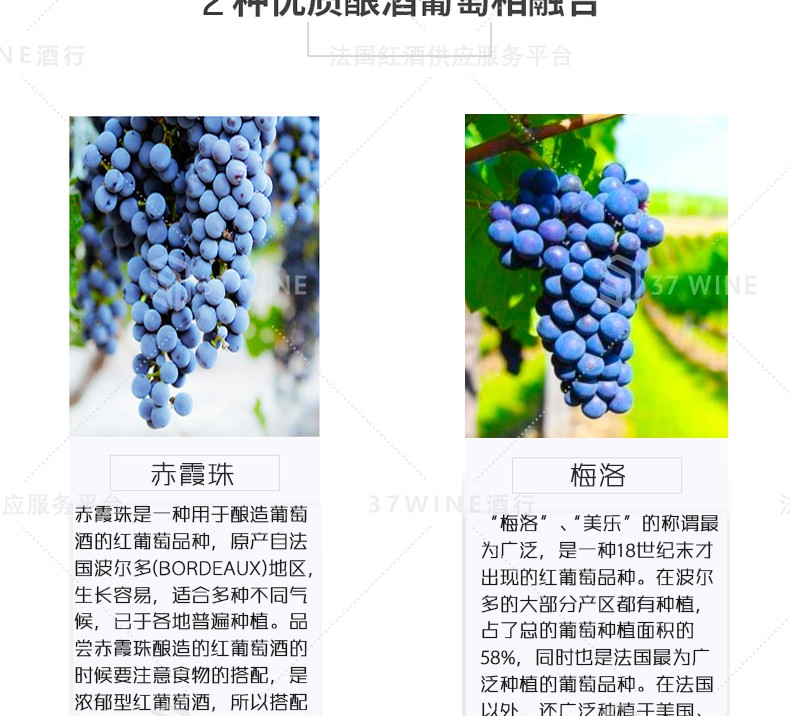 法国红酒 兰伯特酒庄干红葡萄酒 LA CROIX DU CHATEAU FERET-LAMBERT