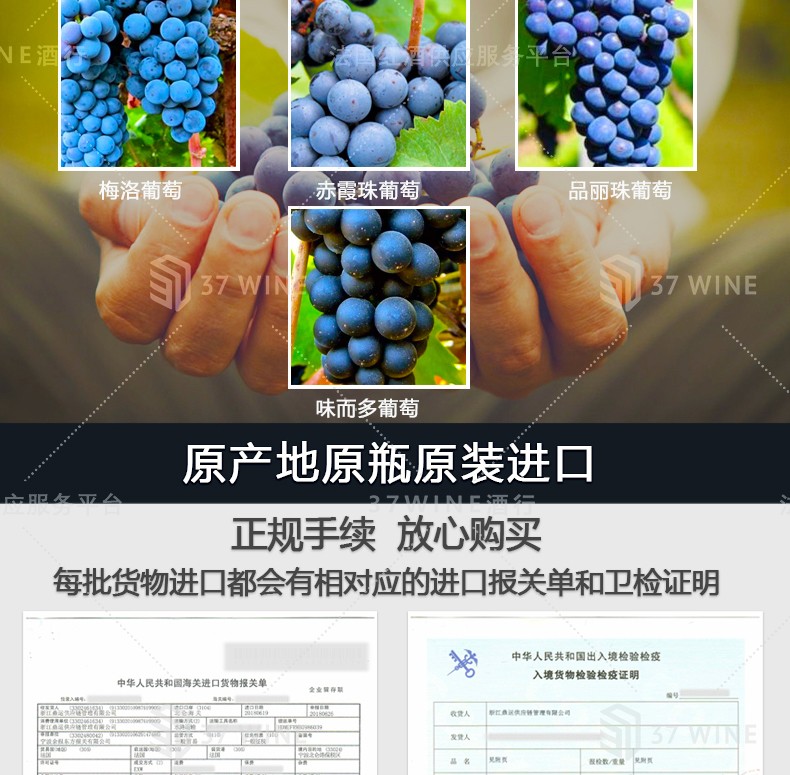 法国红酒 布纳酒庄干紅葡萄酒 CHATEAU BOURNAC详情图5