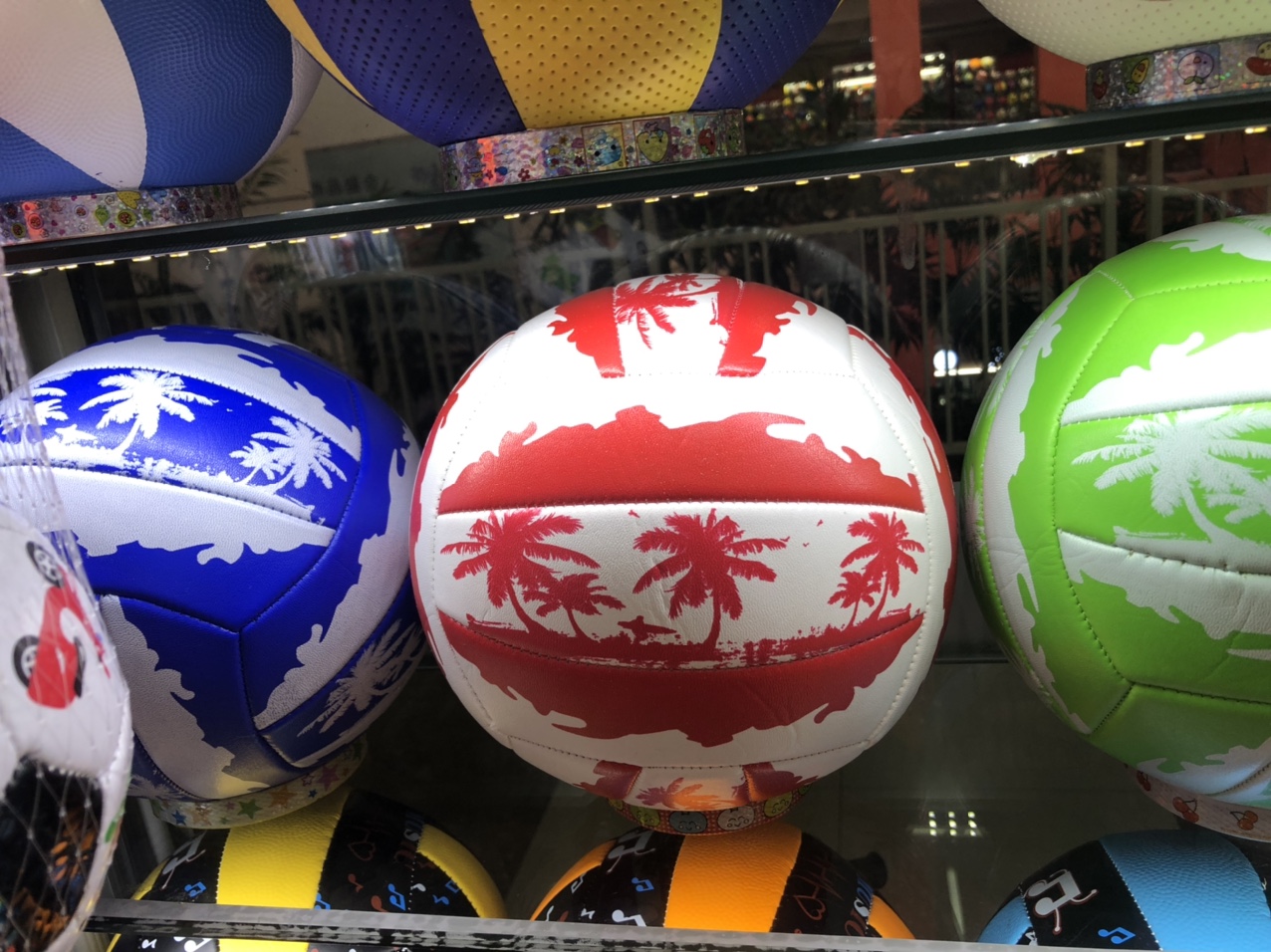 No. 5 coconut tree volleyball
