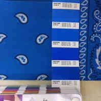 纯棉印花方巾 hip hop嘻哈街舞明星范腰果花bandana批发全棉头巾 明星同款详情图1