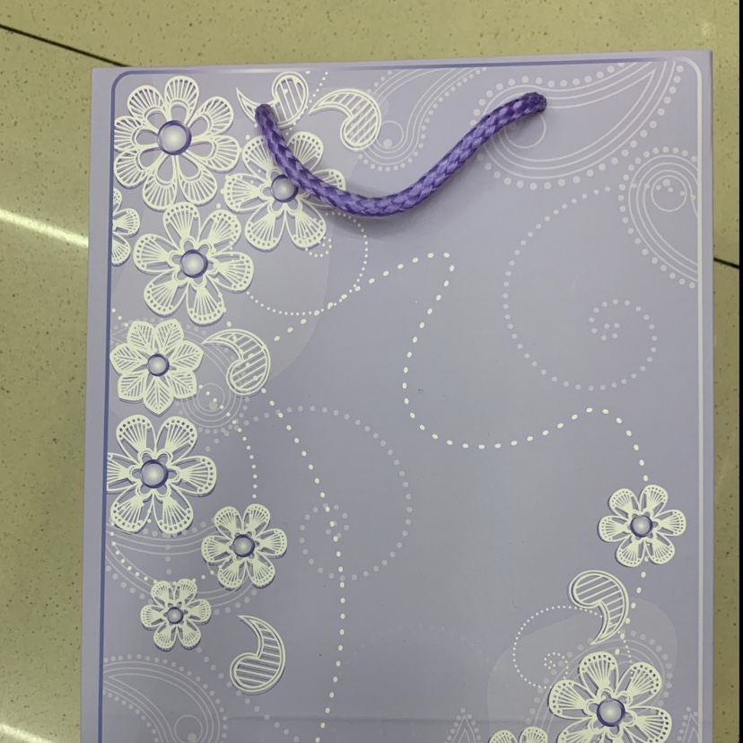 礼品袋18*23*8