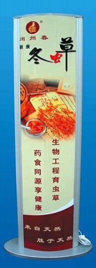 立式灯箱100*30
