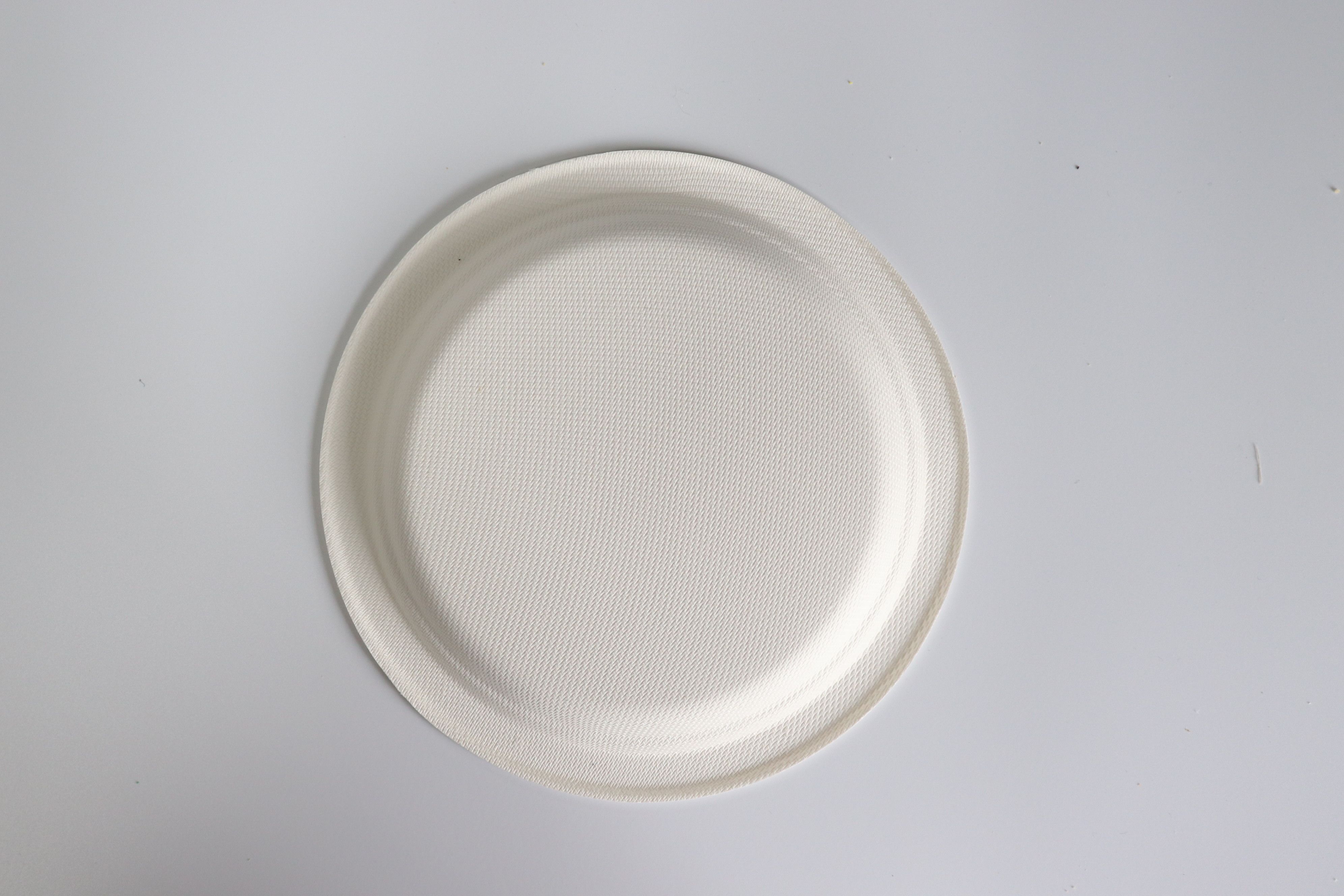 6寸甘蔗浆餐具圆形餐盘一次性餐盘餐具可降解一次性餐具圆形餐盘