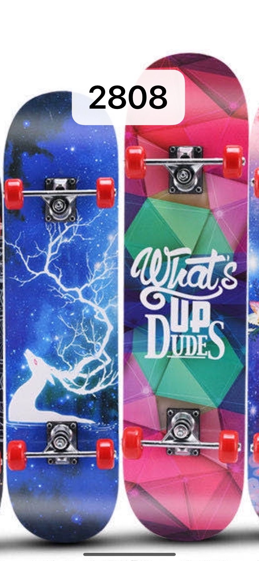 2808 the skateboard thumbnail