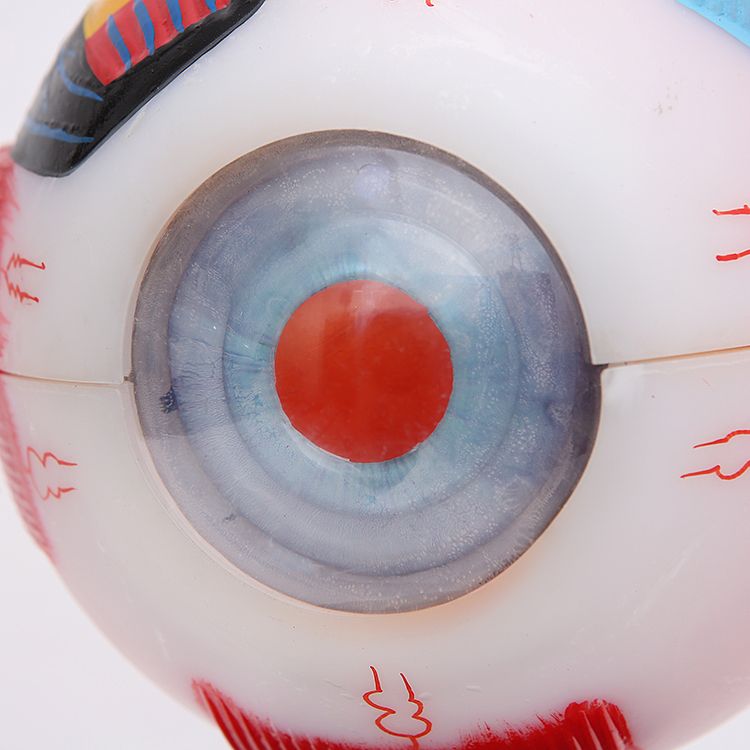 生物教学器材实物图