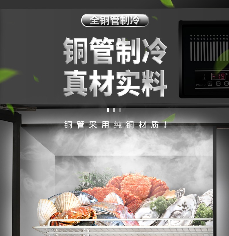 Single-temperature vertical commercial freezer, refrigeration and freezing workbench, stainless steel kitchen, dual-temperature four-door refrigerator, concealed pipe/copper pipe detail image 7