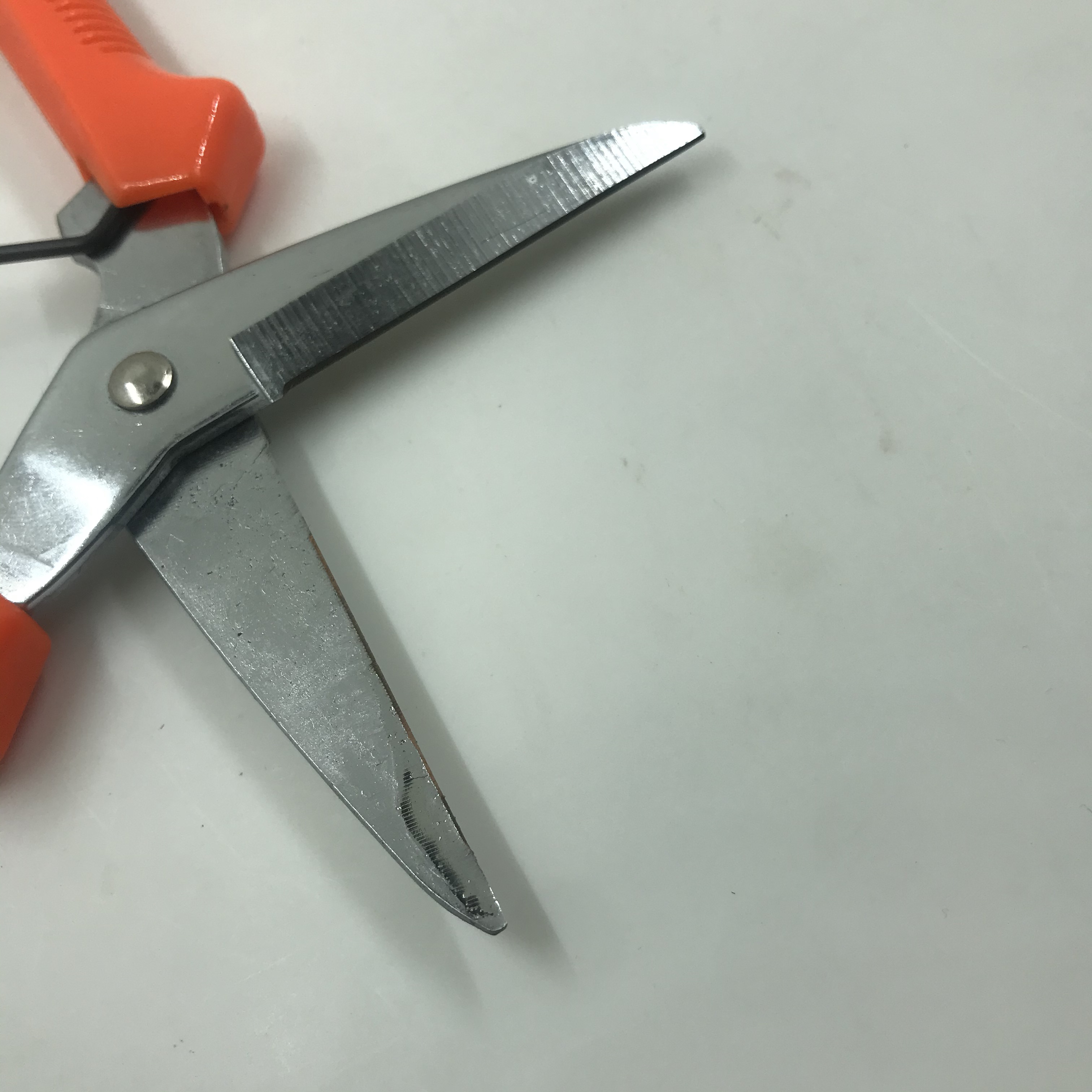 H404ant-Ps-815 Garden Scissors details Picture