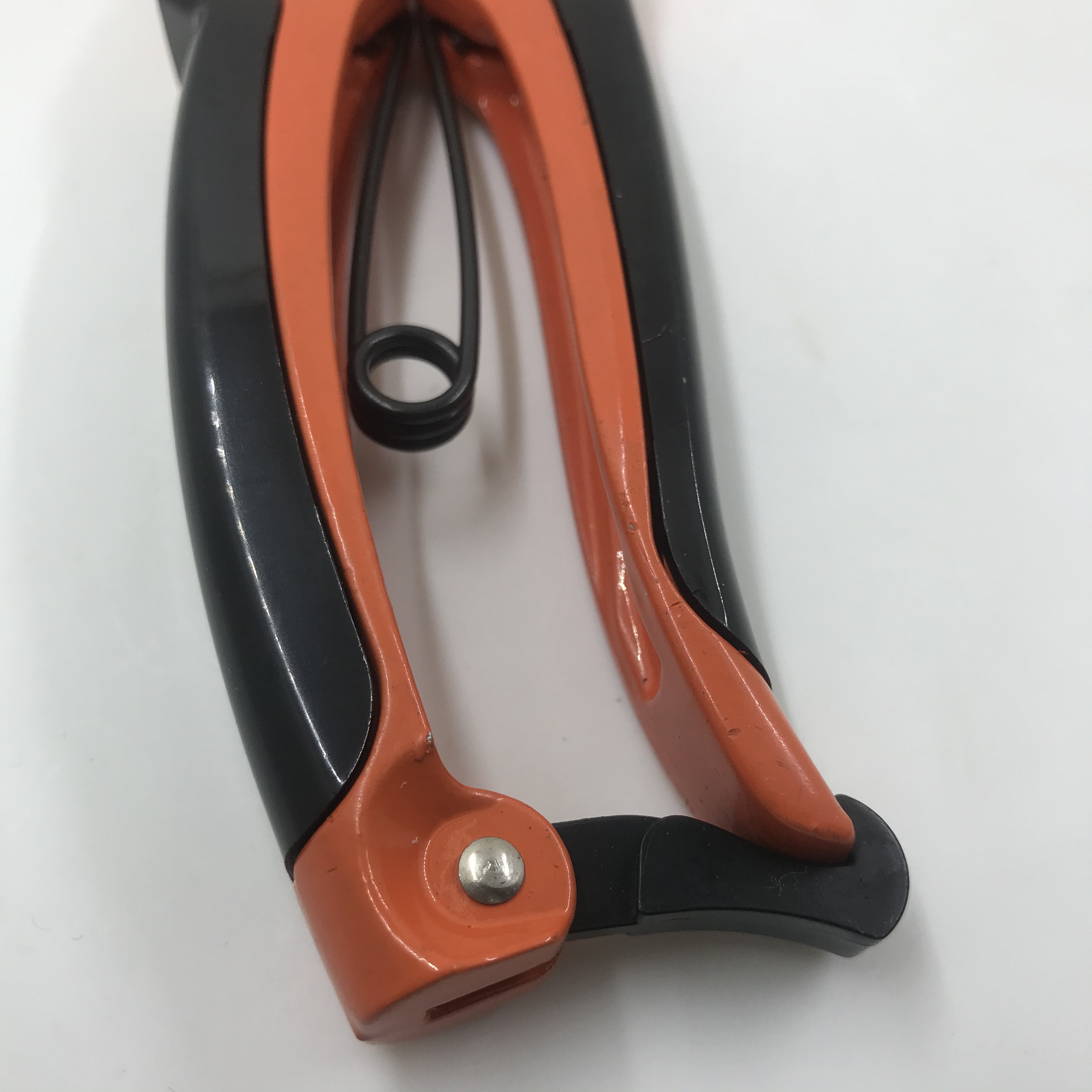 H405ant-Ps-807A Garden Scissors Application Scenario