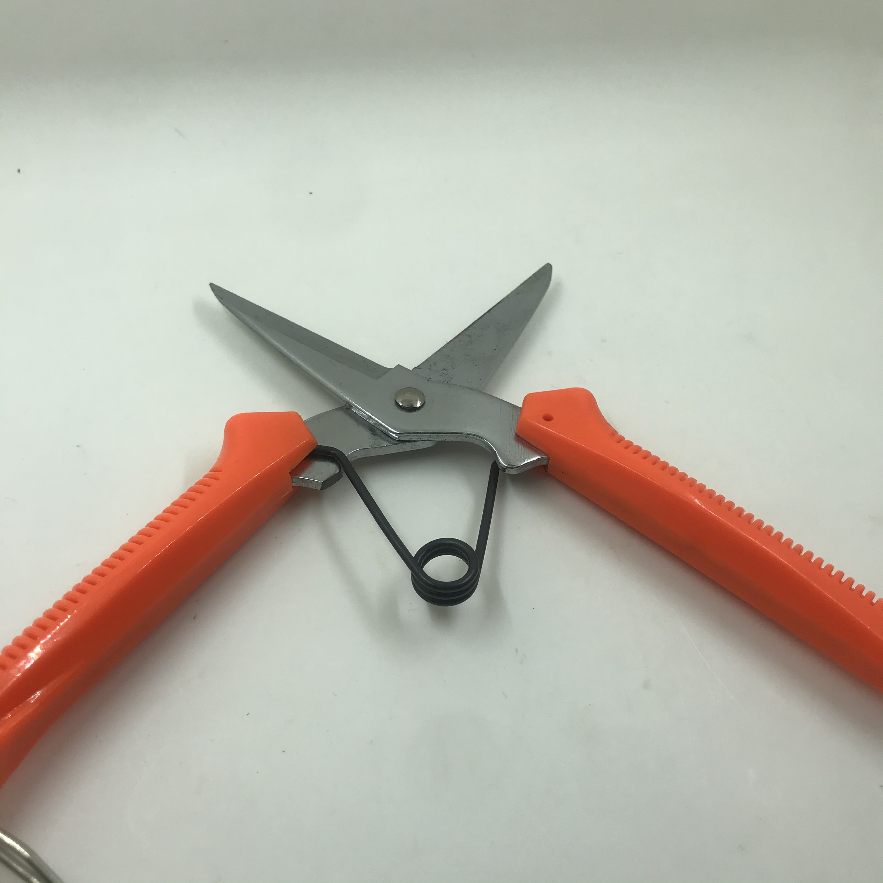 H404ant-Ps-815 Garden Scissors Application Scenario