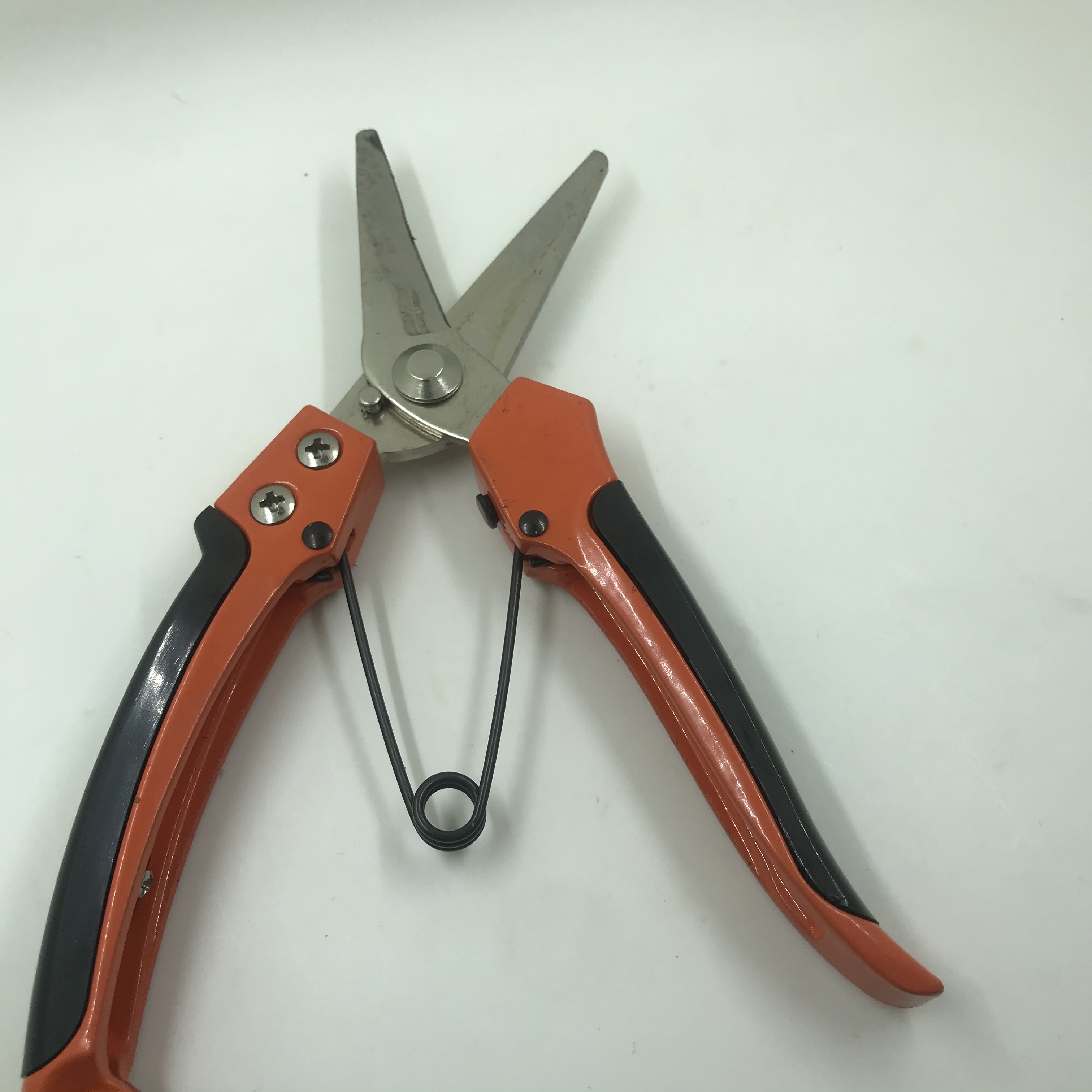 H408ant-Ps-807C Garden Scissors Application Scenario
