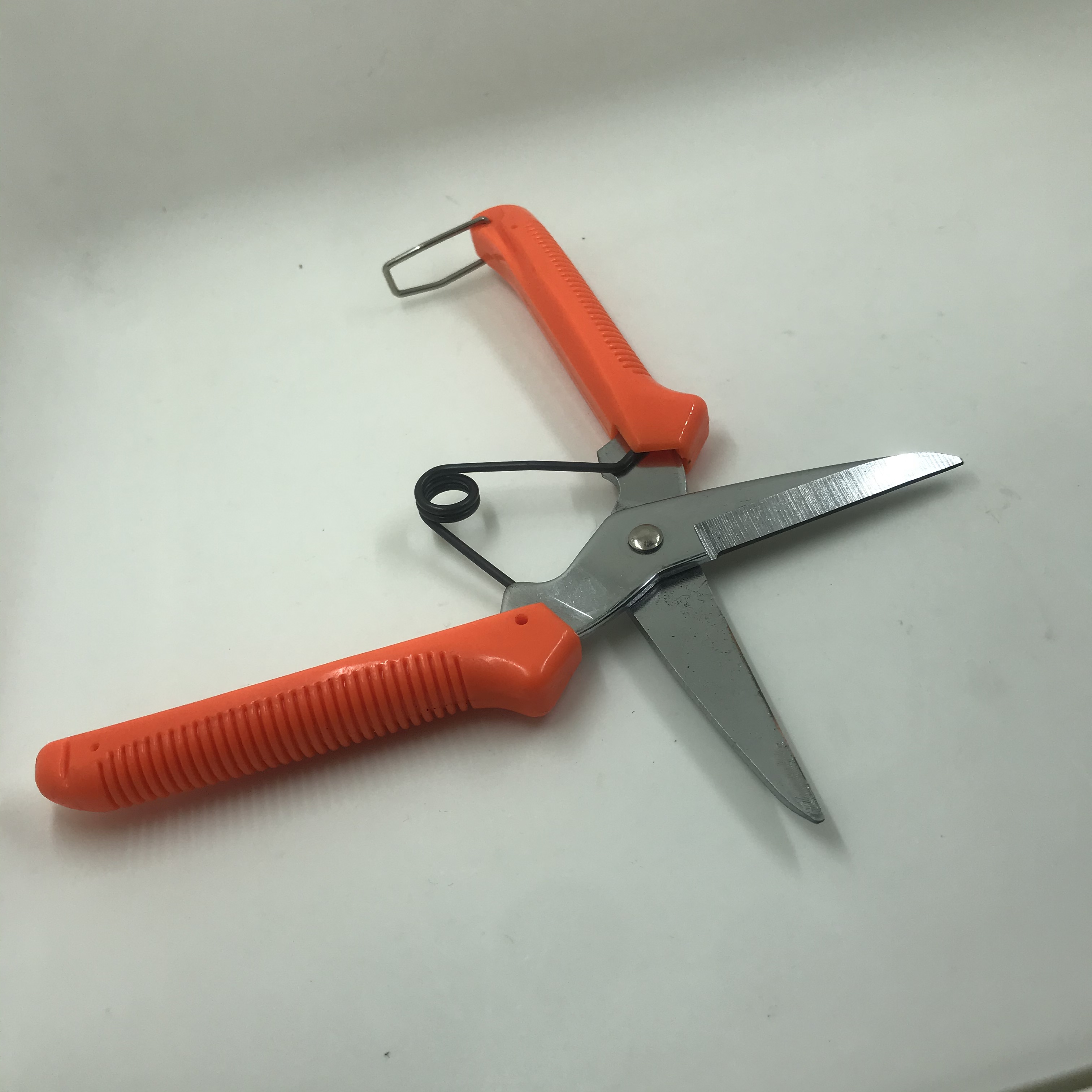 H404ant-Ps-815 Garden Scissors Application Scenario