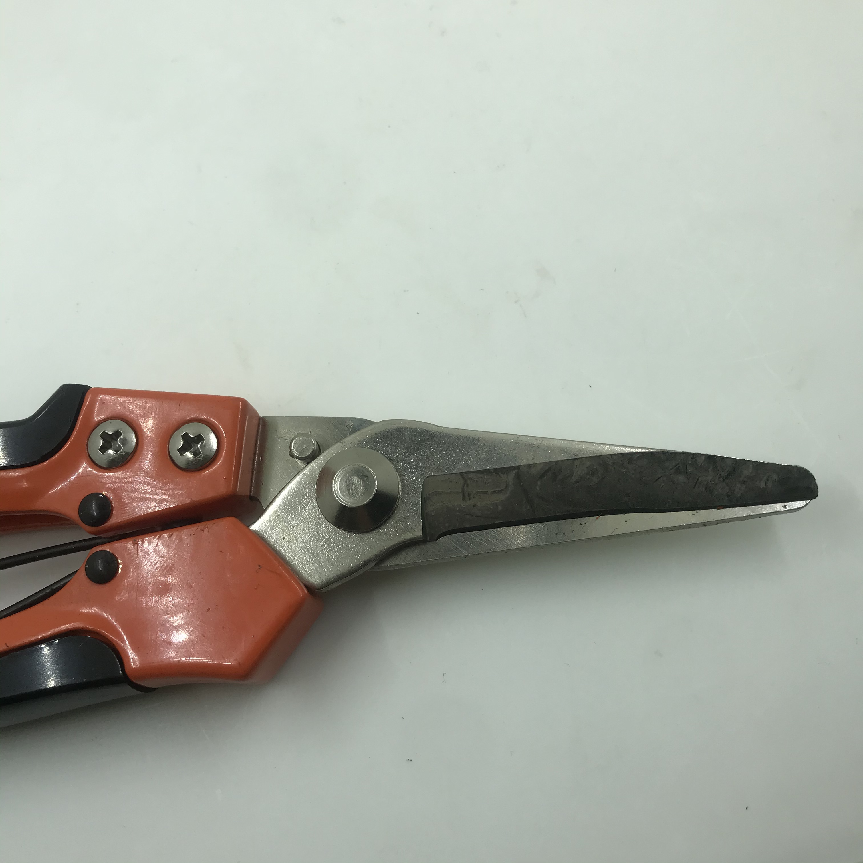 H408ant-Ps-807C Garden Scissors details Picture