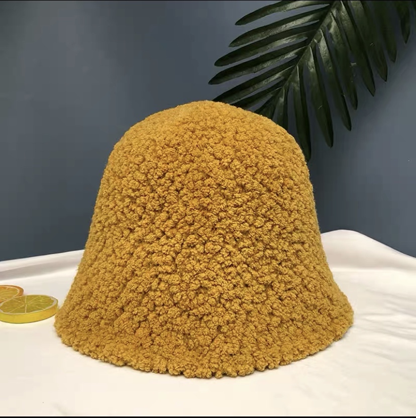 New autumn and winter hats: lambskin fisherman's hat for women, Korean style, trendy and versatile, a popular face show, small plush basin hat, bucket hat undefined