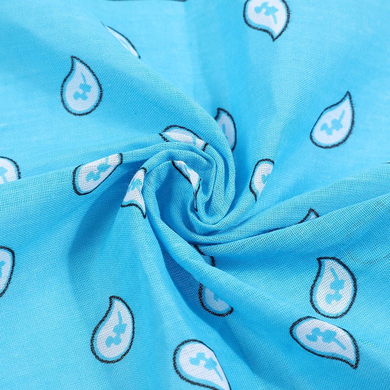 Hao Hao Headscarf Manufacturers Direct Cashew Flower Headscarf Mask Wholesale Cotton Custom Paisley Bandana Headscarf Riding Outdoor Square Spot undefined