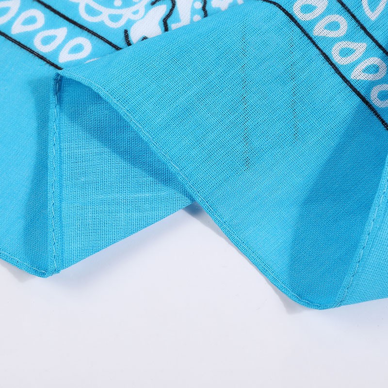 Hao Hao Headscarf Manufacturers Direct Cashew Flower Headscarf Mask Wholesale Cotton Custom Paisley Bandana Headscarf Riding Outdoor Square Spot undefined