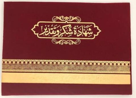 Diploma Cover with Gold Foil Stamping thumbnail