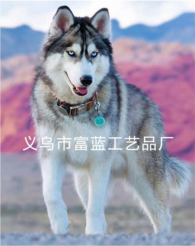 外贸货源5D钻石画 哈士奇 定制diy新款 跨境满钻贴钻画魔方圆钻
