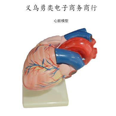 生物教学器材实物图