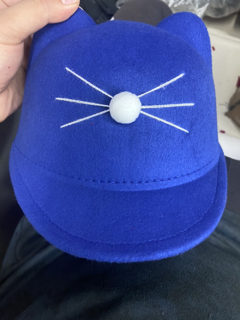 Equestrian cat hat