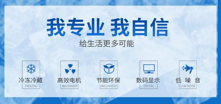 BC/BD-108/GF-1000商用冷藏冷冻冰柜卧式雪柜单温家用顶开式小型冰箱单门625*535*900mm详情图3