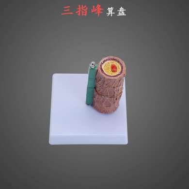 Human arteriolosclerosis model cardiovascular artery model thrombosis process human vascular model three-finger peak thumbnail