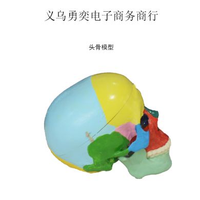 生物教学器材实物图