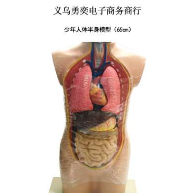 生物教学器材实物图