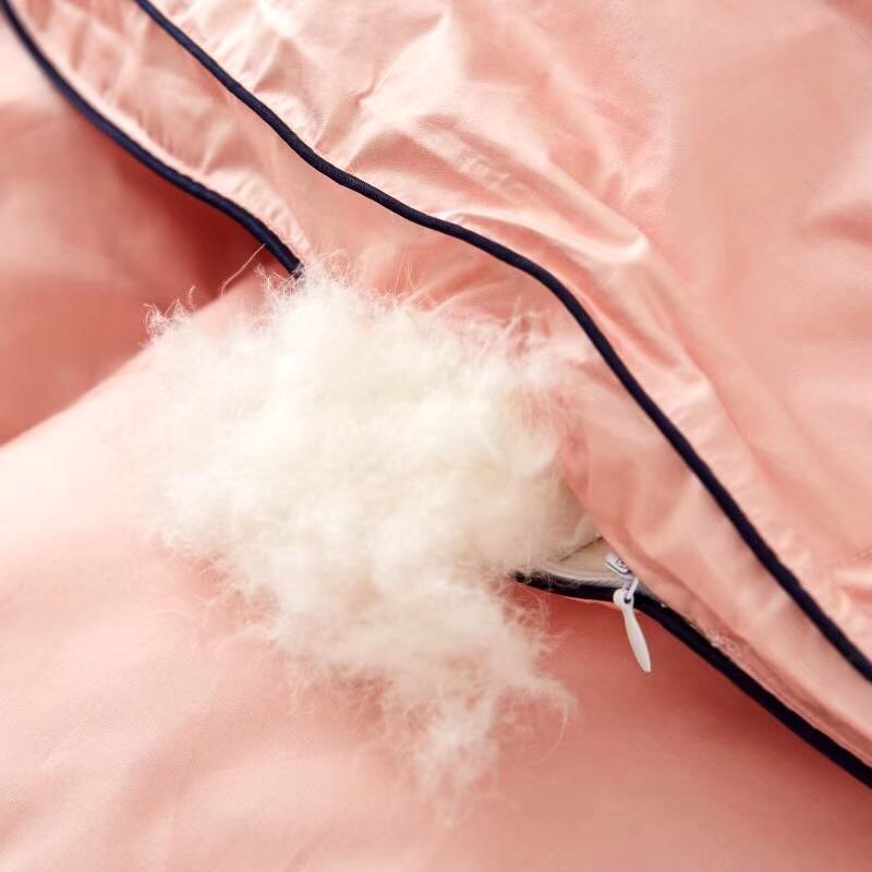 Best-selling down quilts, all-cotton quilt cores, warm spring and winter quilts, thickened goose down gift quilts, air-conditioned warm quilts (randomly sent), bedding, home textile quilt covers pic 4