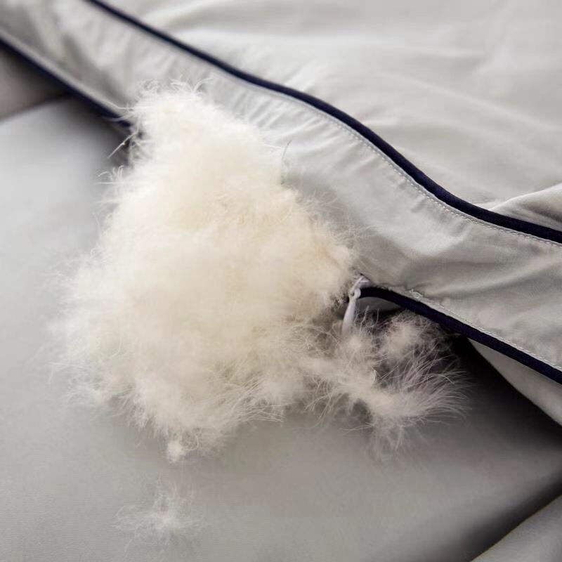 Best-selling down quilts, all-cotton quilt cores, warm spring and winter quilts, thickened goose down gift quilts, air-conditioned warm quilts (randomly sent), bedding, home textile quilt covers pic 11