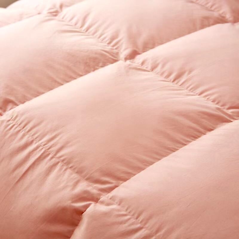 Best-selling down quilts, all-cotton quilt cores, warm spring and winter quilts, thickened goose down gift quilts, air-conditioned warm quilts (randomly sent), bedding, home textile quilt covers pic 3