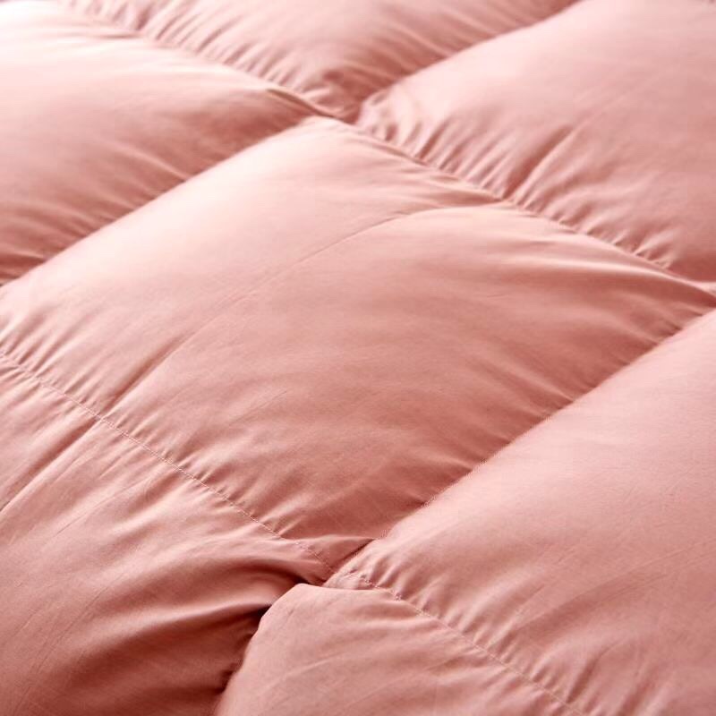 Best-selling down quilts, all-cotton quilt cores, warm spring and winter quilts, thickened goose down gift quilts, air-conditioned warm quilts (randomly sent), bedding, home textile quilt covers undefined