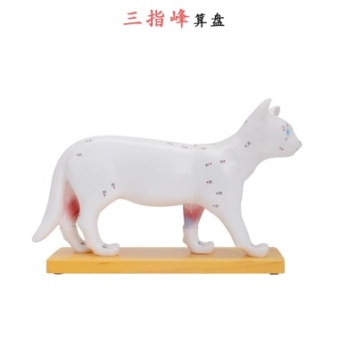 猫体针灸模型 猫解剖模型动物解剖模型猫结构模型仿真猫咪 三详情图5